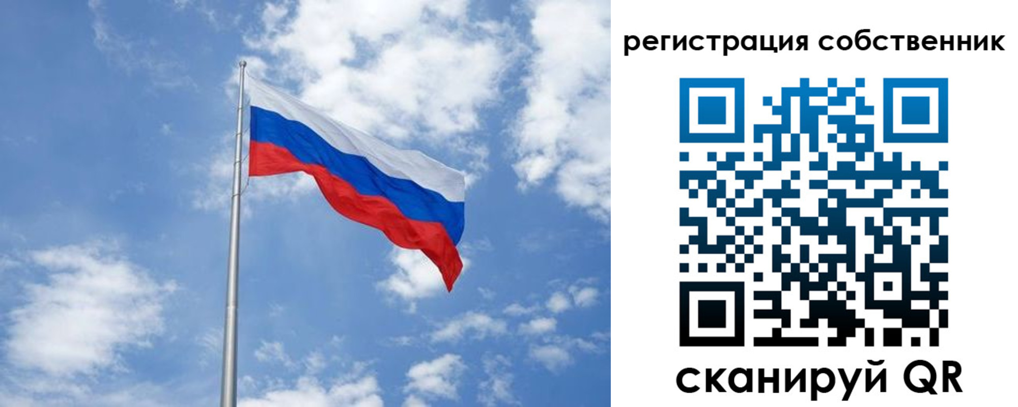прописка для школы в Курской области