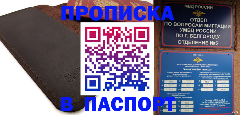 временная регистрация гарантия в Курской области